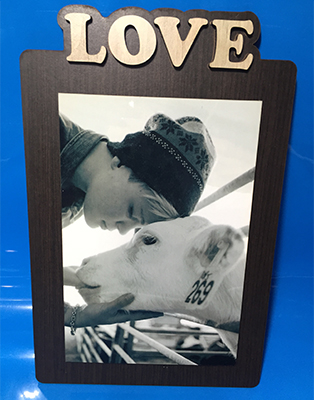 מגן שולחני אהבה + רגלית